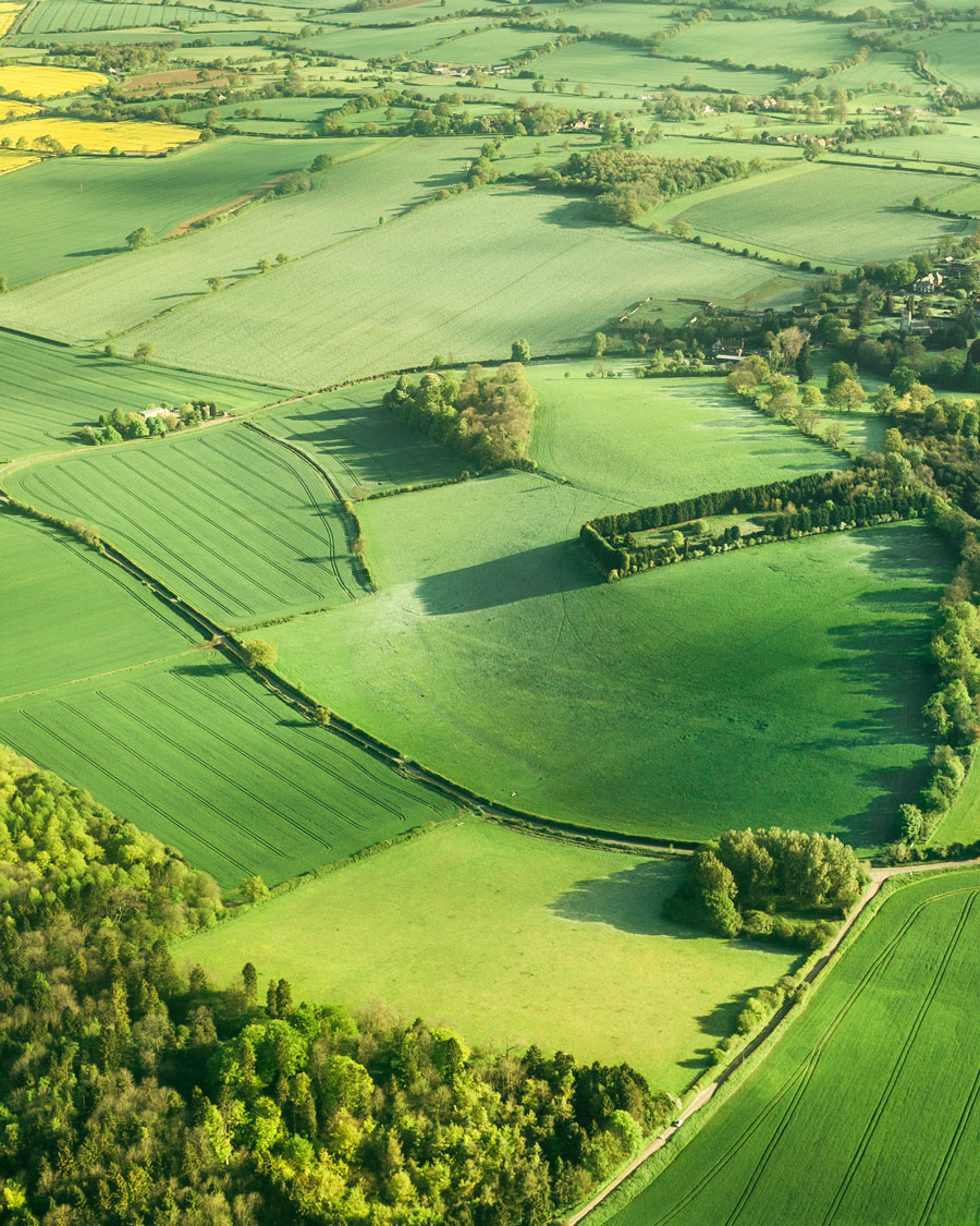 UK Fields